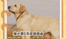 细小一般第几天死亡（狗狗细小一般禁食几天）
