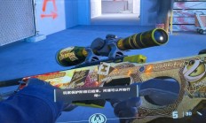 龙狙多少钱（龙狙200万真有人买吗）