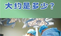 现在肾的价格是多少（现在肾的市场价）
