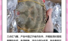 飞蟹多少钱一斤（飞蟹170元一斤贵吗）
