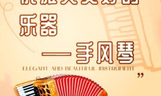 扬琴价格每台多少钱（手风琴多少钱一台）