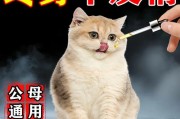 猫可以一辈子吃禁情粉吗（猫咪禁情粉多久吃一次）