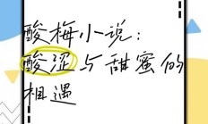 酸梅小说txt下载（酸梅小说下载TXT百度知道）
