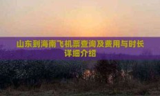 济南到海口的飞机票查询（济南到海口航班时刻表）