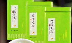 毛尖茶叶价格表（2025年信阳毛尖价格）