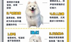 养萨摩耶一个月花销（萨摩耶2025价格）
