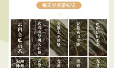 中国最贵的茶叶多少钱一斤（最贵茶叶排名前十名）