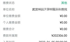 医保卡每个月返钱标准（医保每月返还明细查询）
