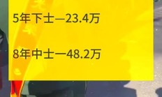 当兵十年退伍后给多少钱