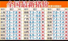 湖北今日猪价（恩施猪价今日查询）