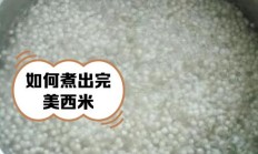 西米多少钱一斤（西米价格）