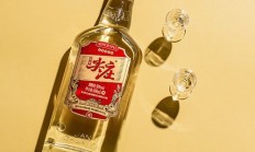 五粮液尖庄（五粮液尖庄酒多少钱一瓶）