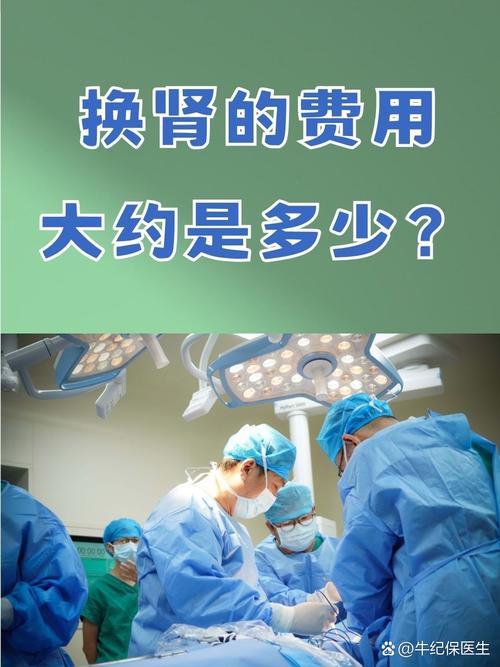 现在肾的价格是多少(现在肾的市场价)