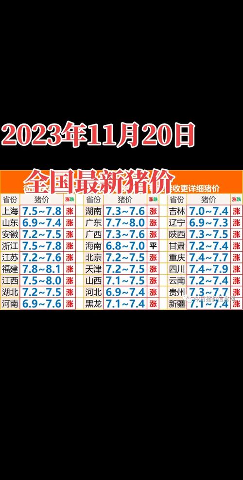 湖北今日猪价(恩施猪价今日查询)