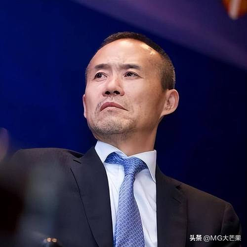 王石身价有多少亿人民币(王石一年挣多少钱)