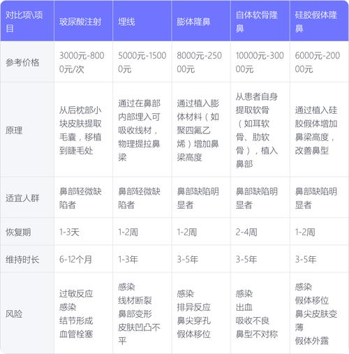 鼻子整形花费(整鼻子要多少钱)