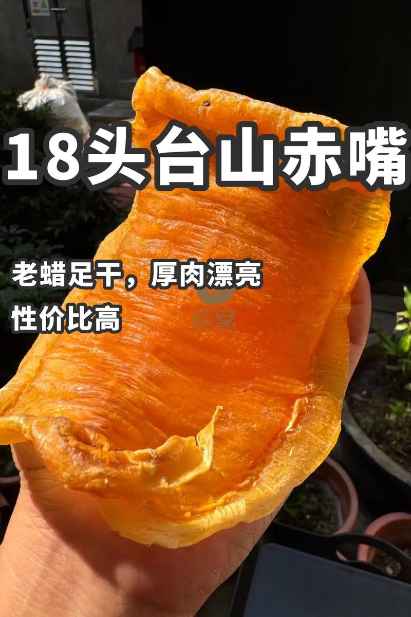 赤嘴鱼胶一斤多少钱(正宗鱼胶一斤多少钱)