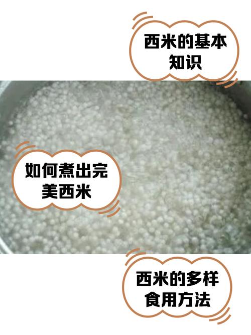 西米多少钱一斤(西米价格)