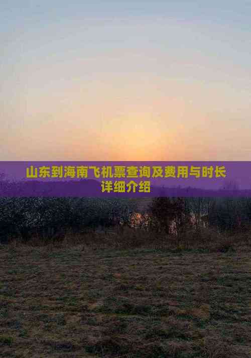 济南到海口的飞机票查询(济南到海口航班时刻表)