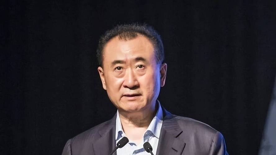 王健林欠银行多少钱(王健林目前身价多少亿)