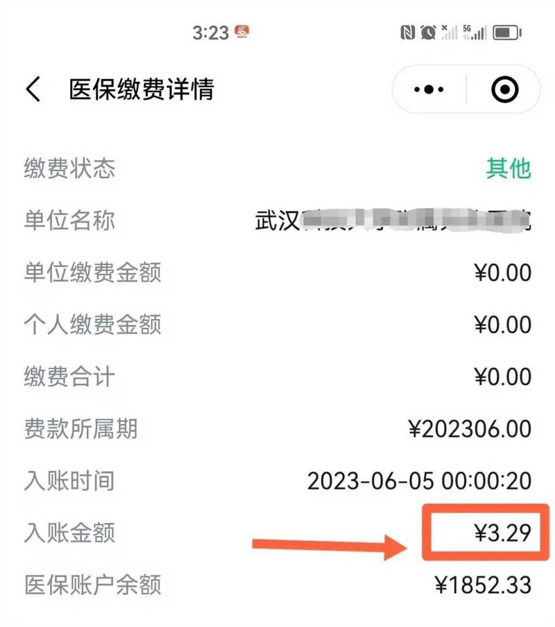 医保卡每个月返钱标准(医保每月返还明细查询)