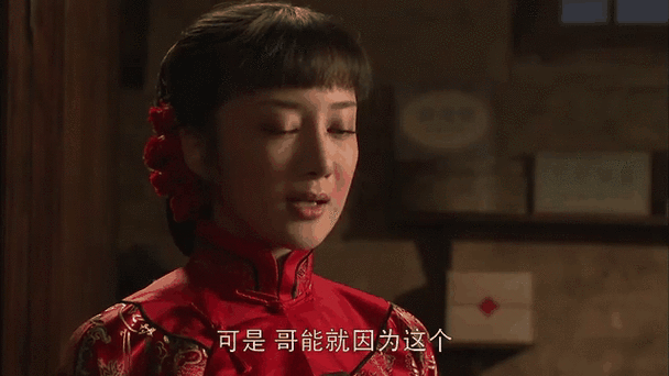 北方有佳人剧情介绍(庄稼院里的年轻人剧情分集介绍)