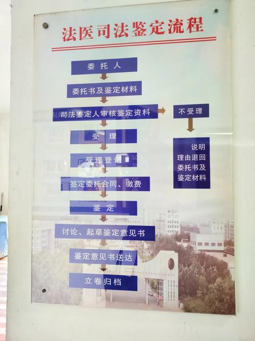 法医鉴定流程(一般鉴定费多少钱啊)