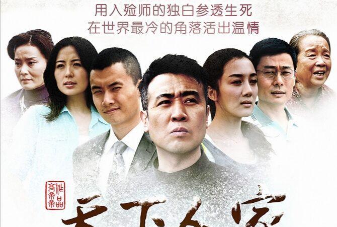 电视剧天下人家演员表(天下人家是哪年拍的)