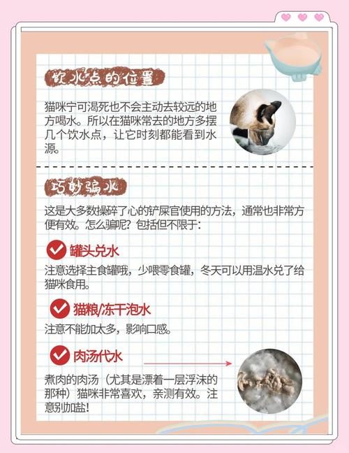 猫咪怎么算频繁喝水（猫一直喝水）