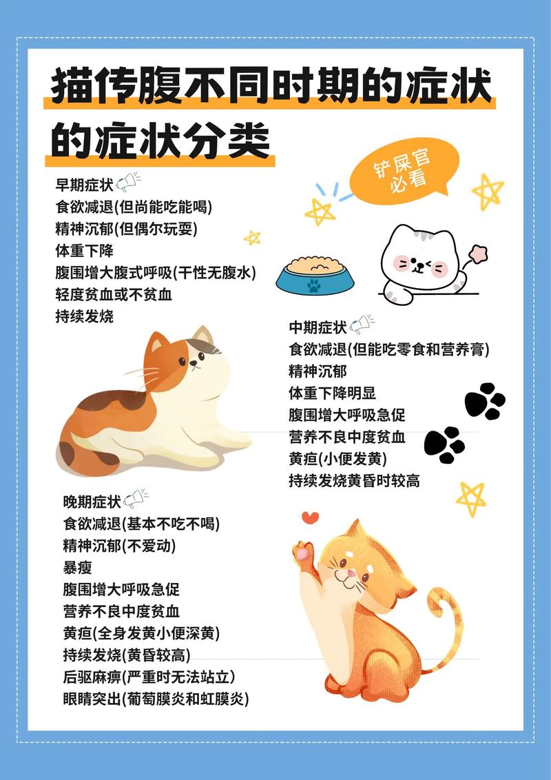幼猫吃得太饱的症状(猫吃饱后的3种表现)