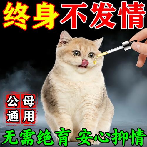 猫可以一辈子吃禁情粉吗（猫咪禁情粉多久吃一次）