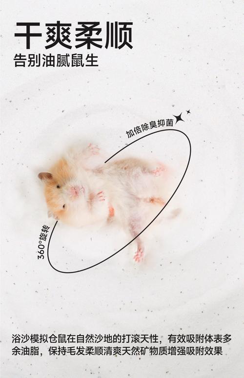 浴沙可以拿米代替吗(卫生纸撕碎可以当仓鼠窝吗)